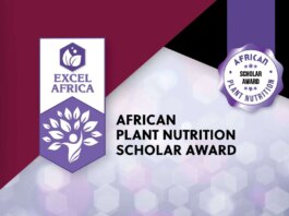 African Plant Nutrition Institute (APNI) 2025 Scholarship Program